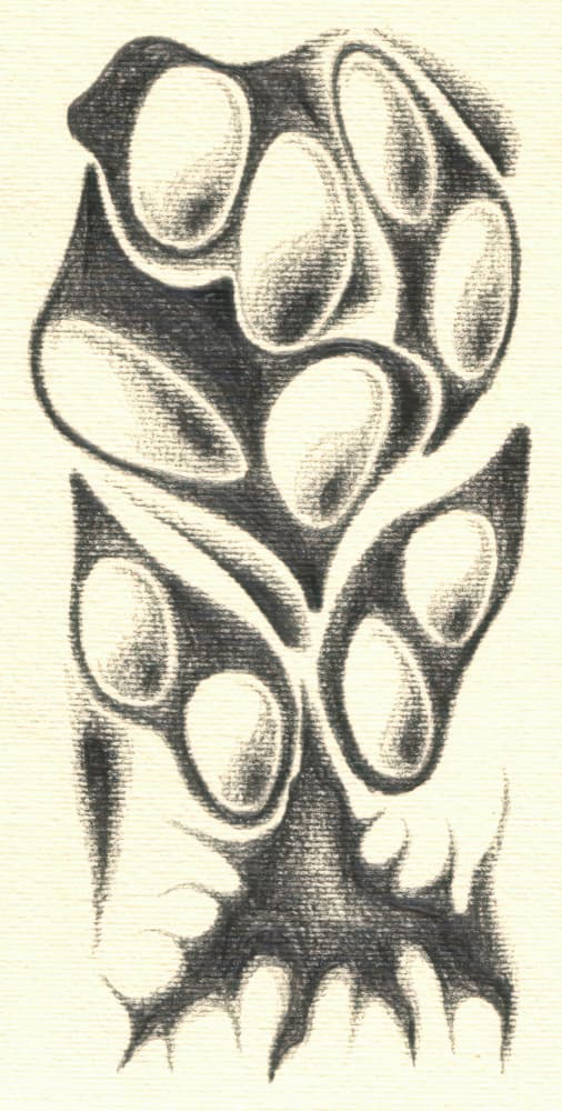 Mysterious Organic Form by Kulik — canvas wall art