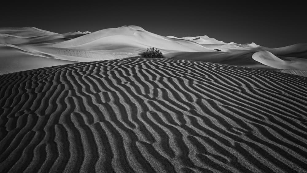 Desert Dune Ripples by Ruiqing P. — canvas wall art