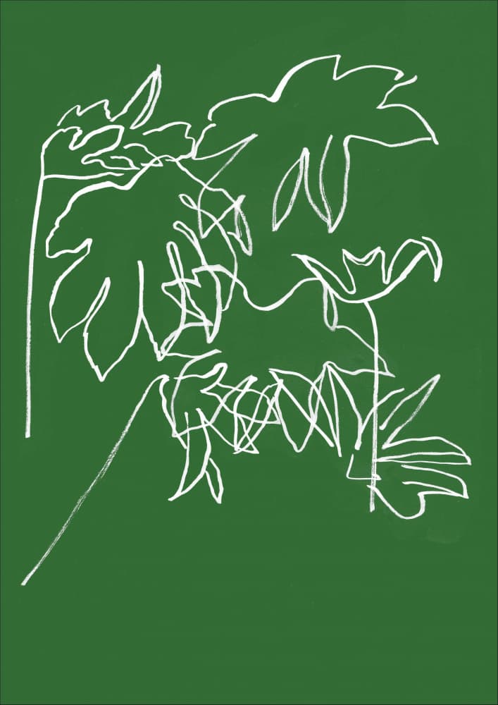 Botanical Line Sketch by Elaine Field — canvas wall art