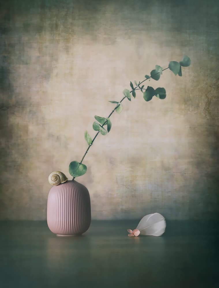Eucalyptus Snail Pink Vase by Sophie Pan — canvas wall art