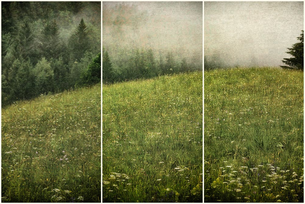 Misty Forest Meadow by Krisztina Lacz — canvas wall art