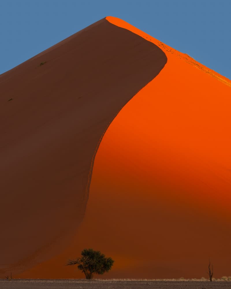 Golden Desert Dune by Chao Feng 天馬 — canvas wall art