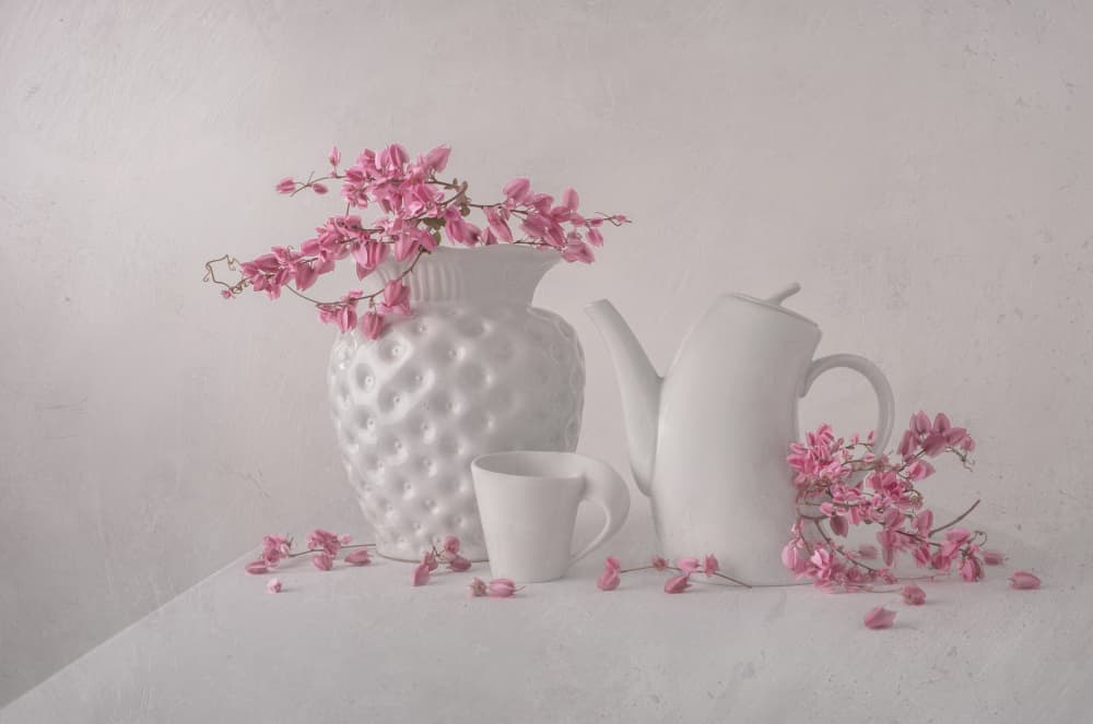 Soft Pink Still Life by Margareth Perfoncio — canvas wall art