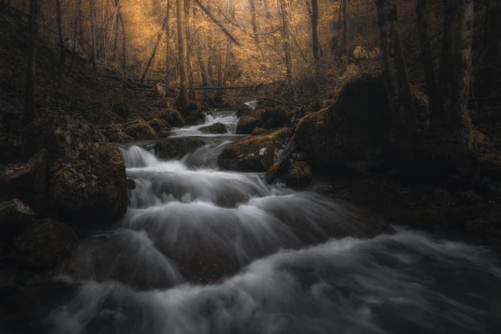 Golden Autumn Stream by Thomas de Franzoni — canvas wall art