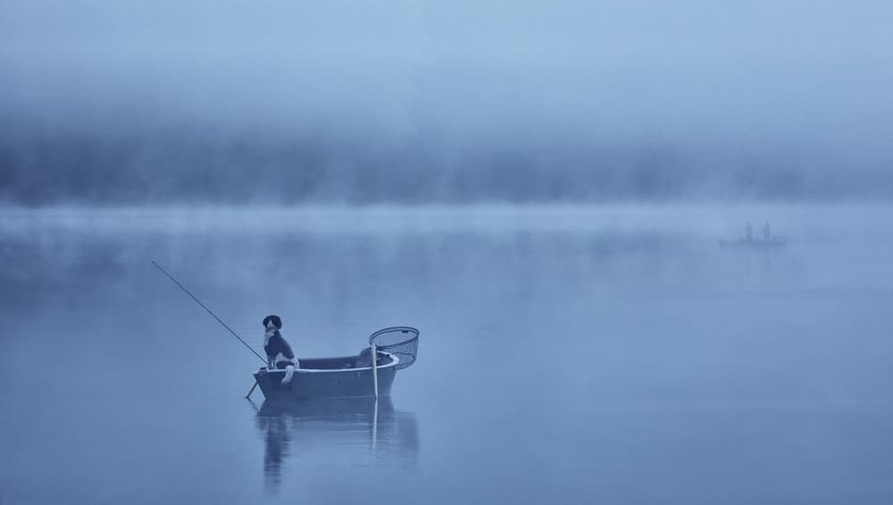 Dog Fishing Foggy Lake by Uschi Hermann — canvas wall art