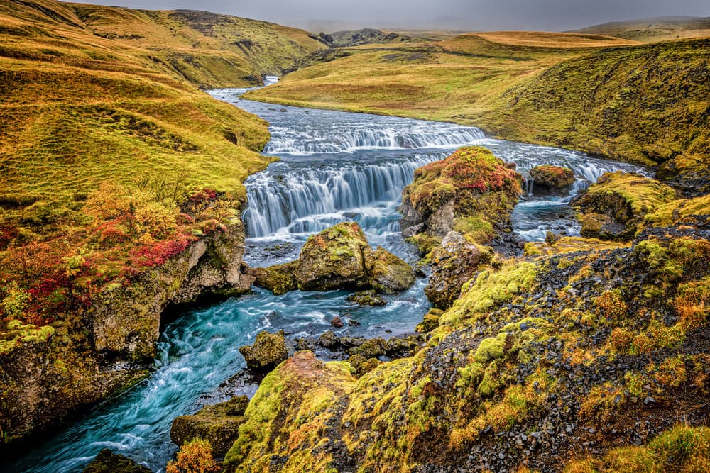 Vibrant Mossy River Falls by Jeffrey C. Sink — canvas wall art