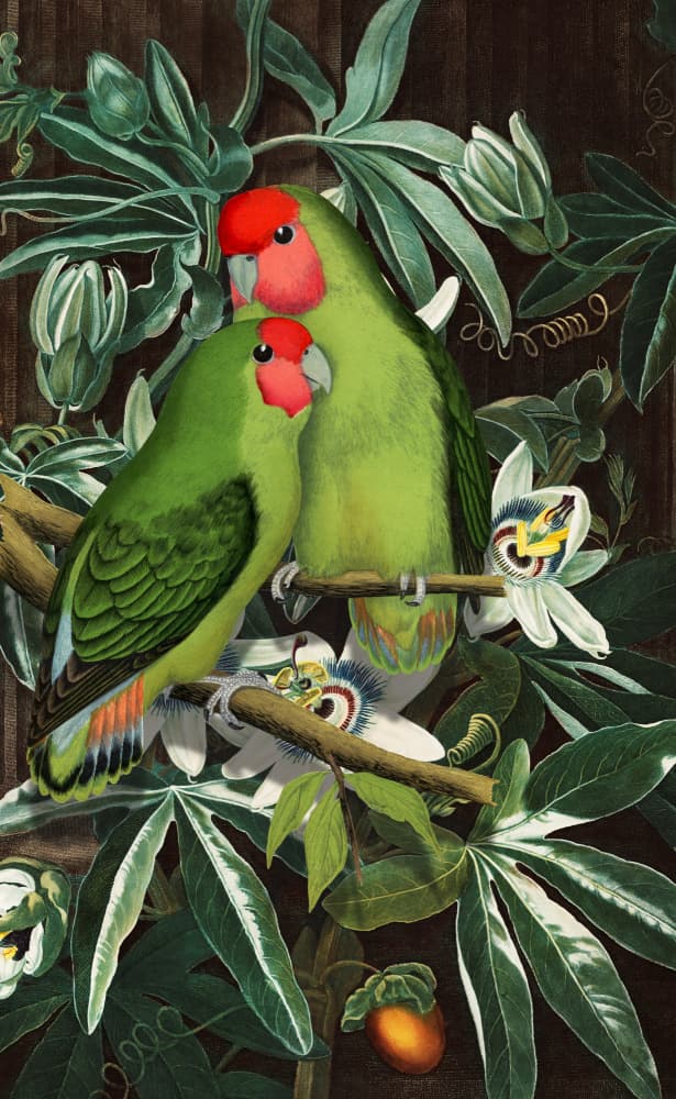 Lovebirds in Tropical Flora by Marja van den Hurk — canvas wall art
