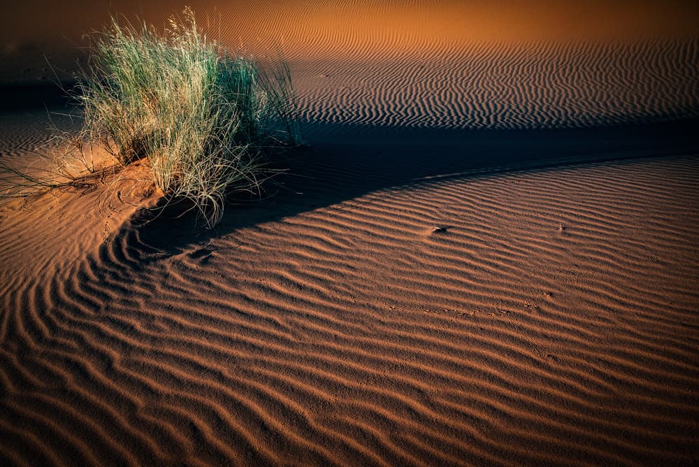 Golden Sand Ripples by Linda Wride — canvas wall art