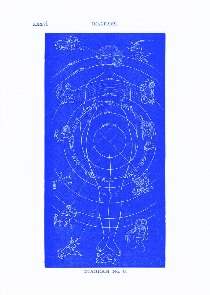 Solar Biology No. 6 blue (creative ed.) by Hiram Eratus Butler — canvas wall art