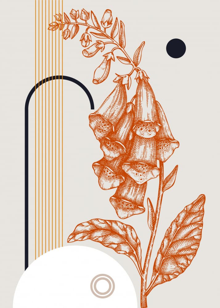 Geometric Foxglove Bloom by Yevheniia Lytvynovych — canvas wall art