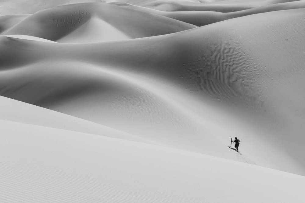 Vast Desert Journey by Hamid Jamshidian — canvas wall art