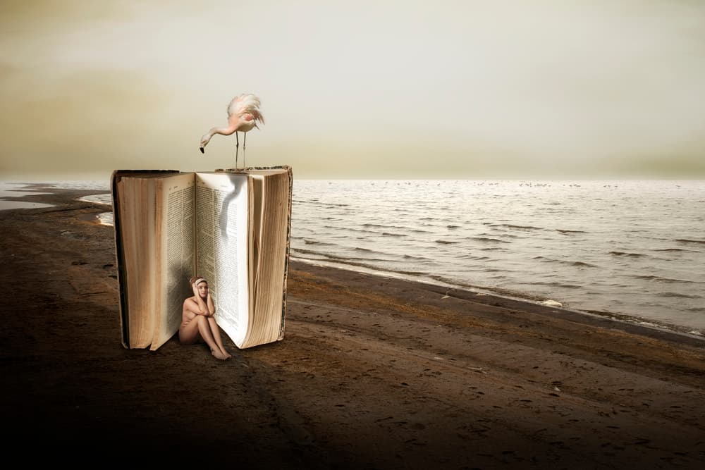 Woman in Giant Book by Christine von Diepenbroek — canvas wall art