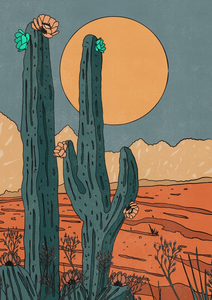 Southwest Desert Bloom by Nicholas — canvas wall art