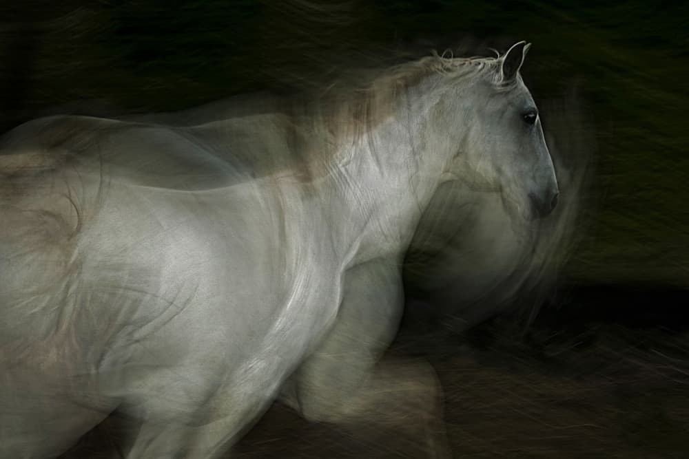 Ethereal Galloping Horse by Milan Malovrh — canvas wall art