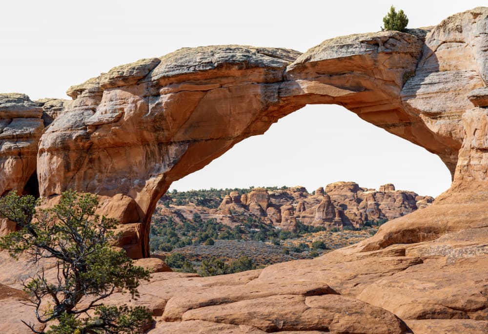 Southwest Desert Arch by Courtney Crane — canvas wall art