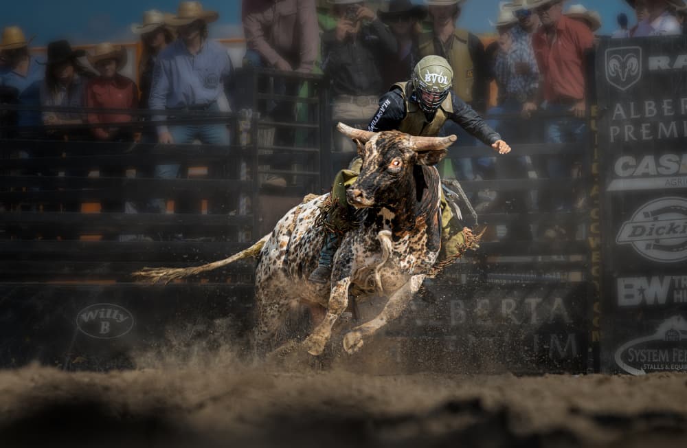 Bull Riding Power by Leeian Dai — canvas wall art