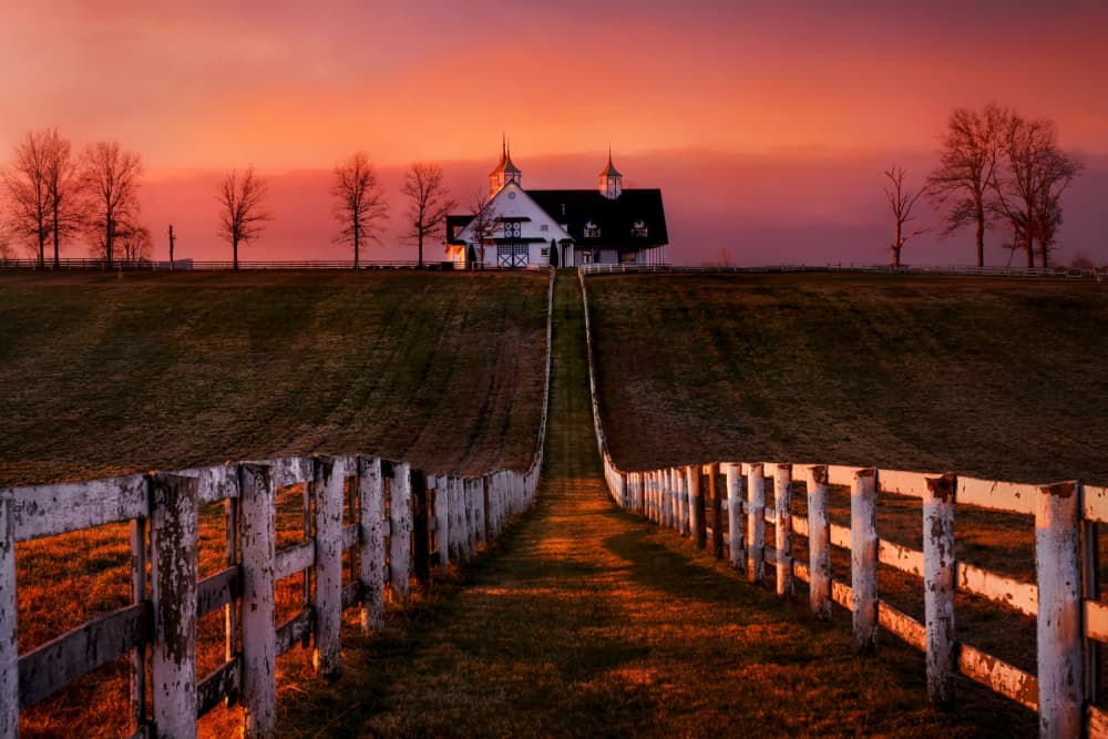 Peaceful Farm Pathway by Hanping Xiao — canvas wall art