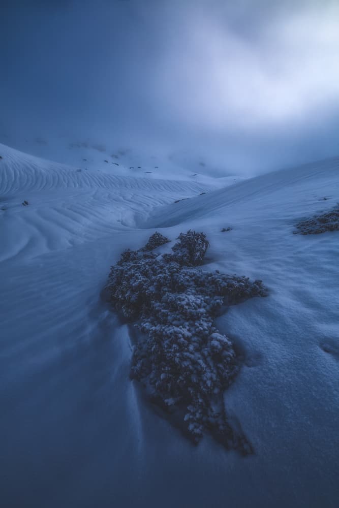 Misty Blue Snowscape by Carlos Gonzalez — canvas wall art