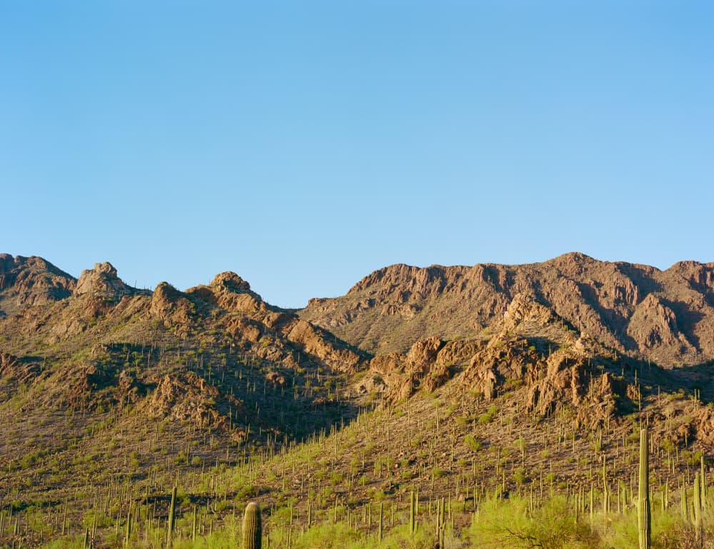 Saguaro Desert Mountains by Bethany Young — canvas wall art