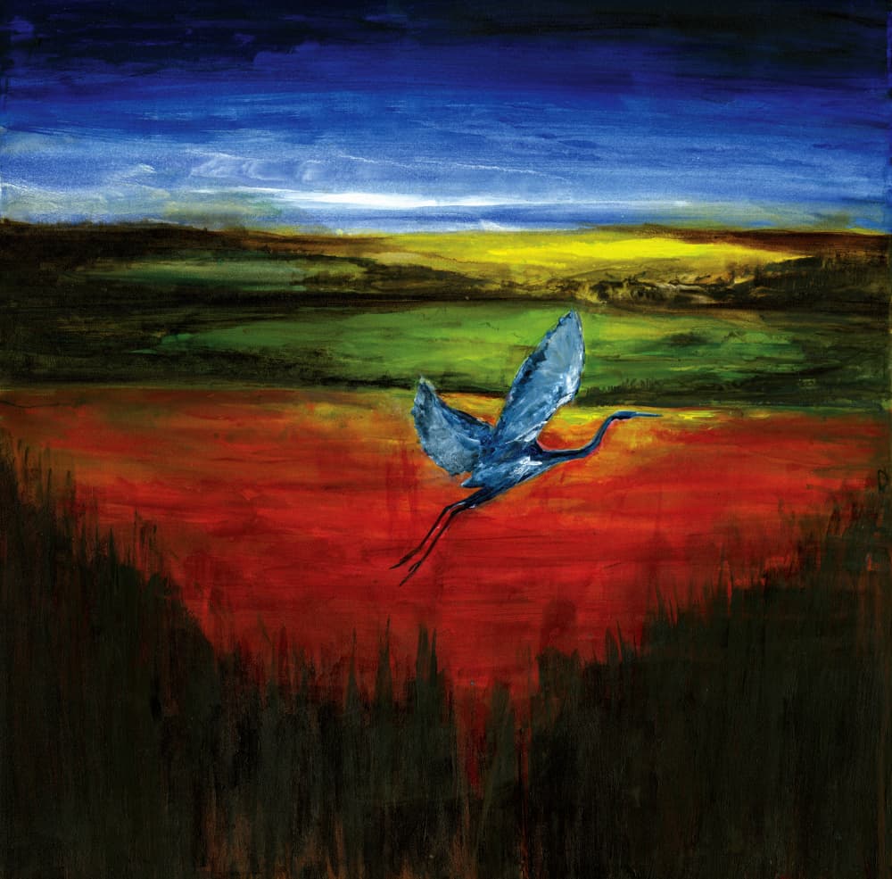 Blue Heron Vibrant Flight by RodMacIver — canvas wall art