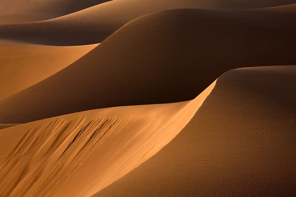 Golden Desert Dunes by Mohammadreza Momeni — canvas wall art