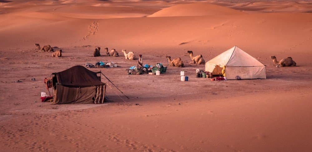 Sahara Desert Camp by Miroslaw Prybinski — canvas wall art