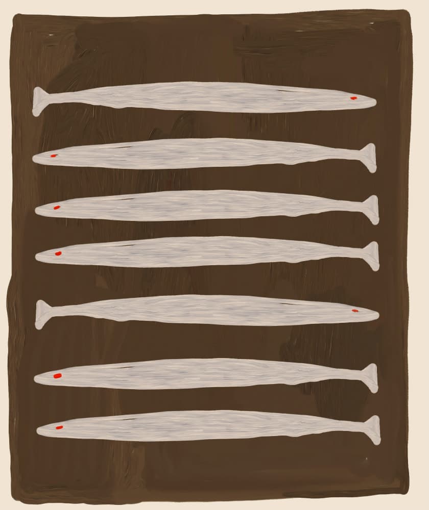 Seven White Fish Pattern by Josie George — canvas wall art