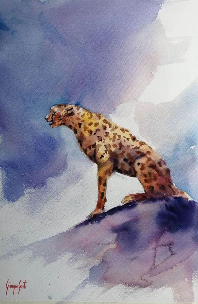 Cheetah on Rock by Giorgio Gosti — canvas wall art