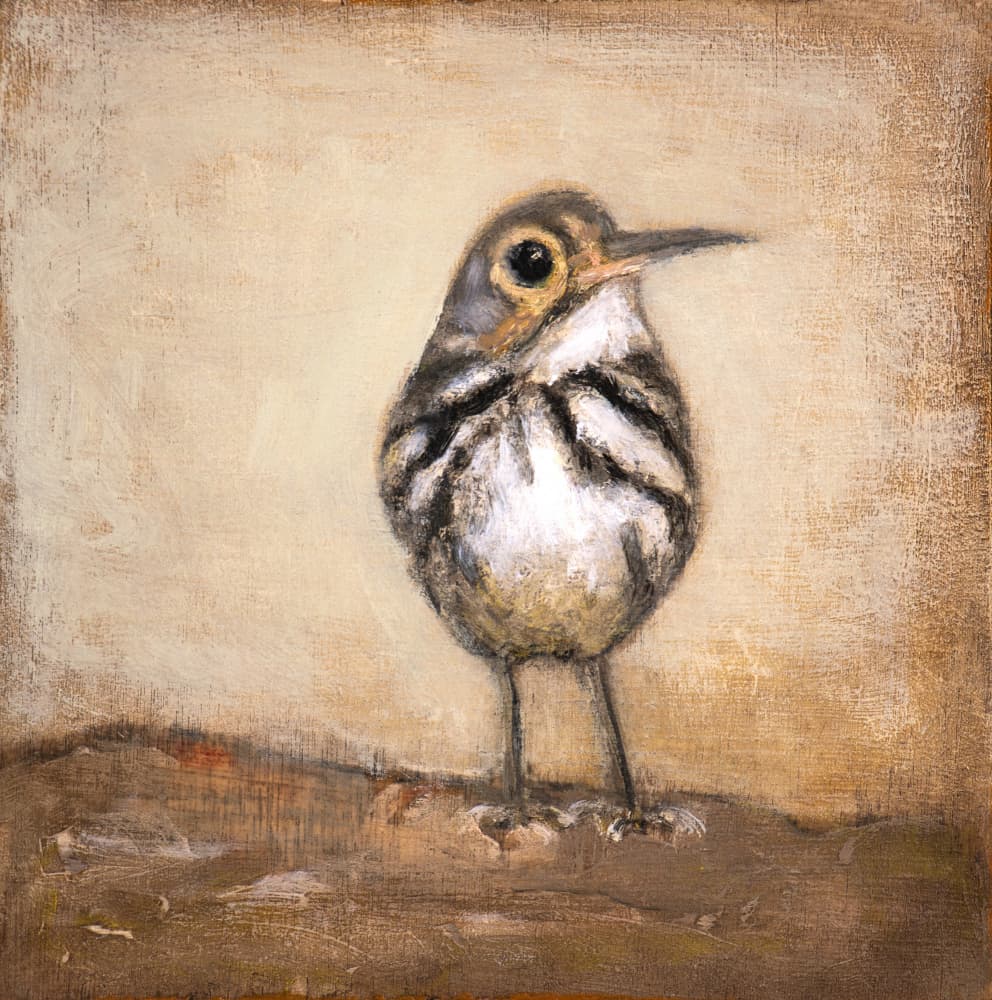 Curious Little Bird by Claire Lerner — canvas wall art