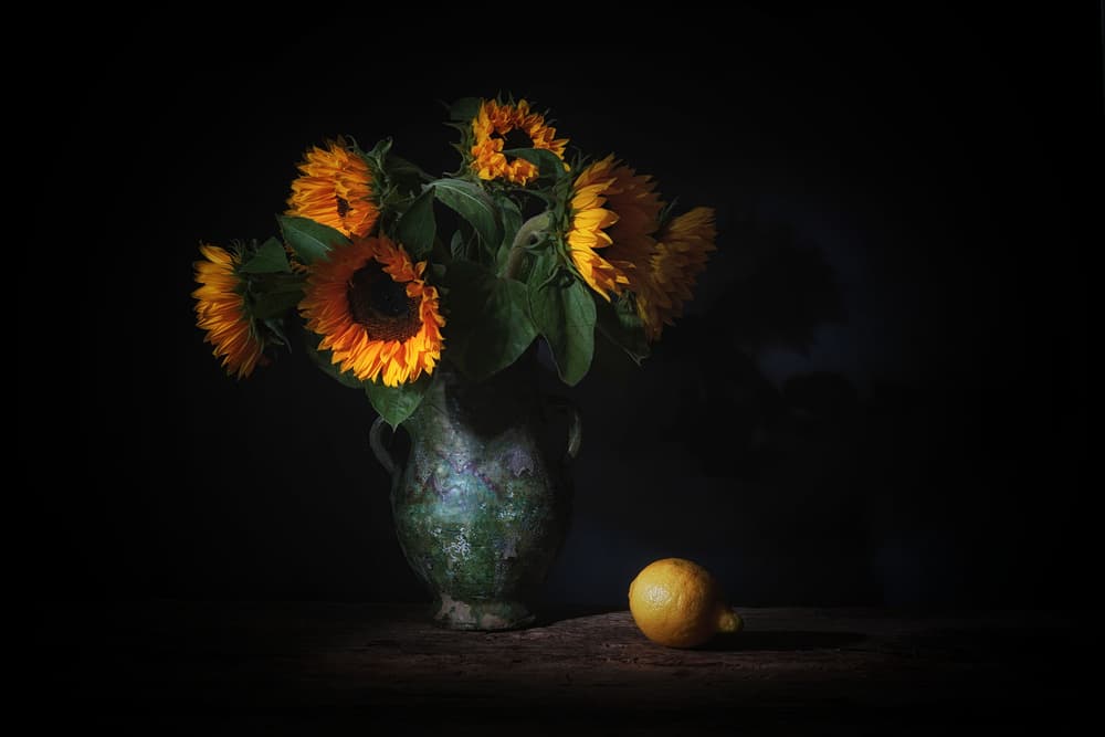 Dramatic Sunflowers And Lemon by Saskia Dingemans — canvas wall art