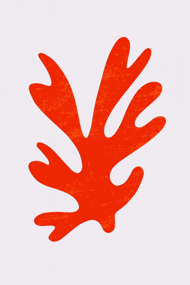 Vibrant Organic Shape by jay stanley — canvas wall art