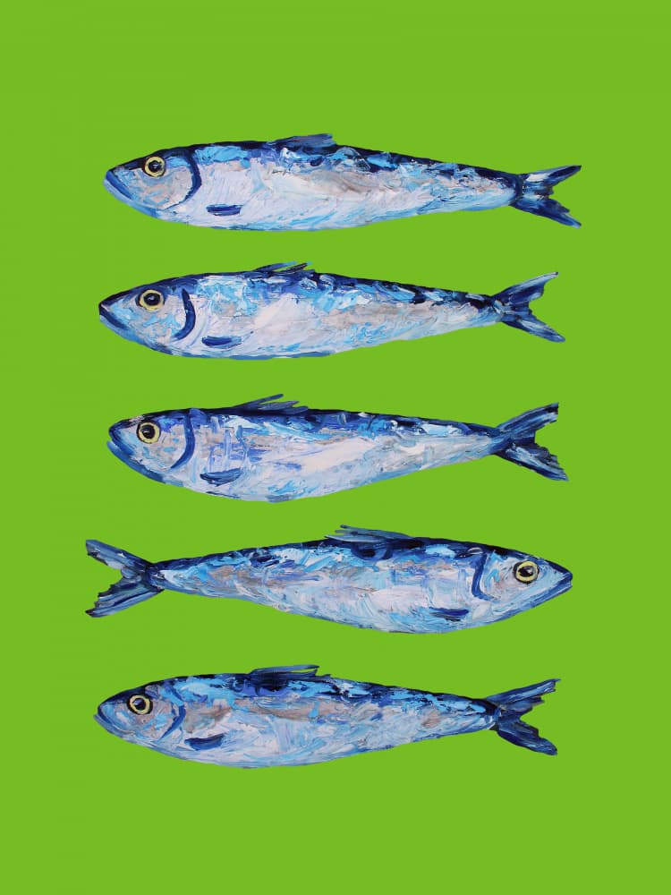 Fresh Blue Sardines by Alice Straker — canvas wall art