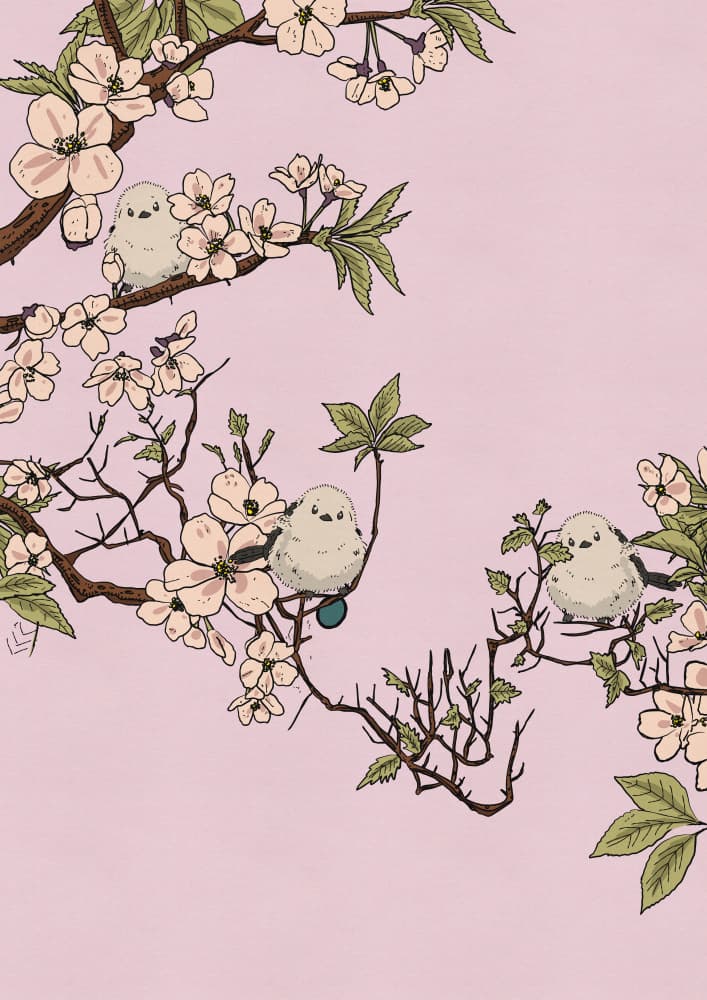 Spring Birds and Cherry Blossoms by Nicholas — canvas wall art