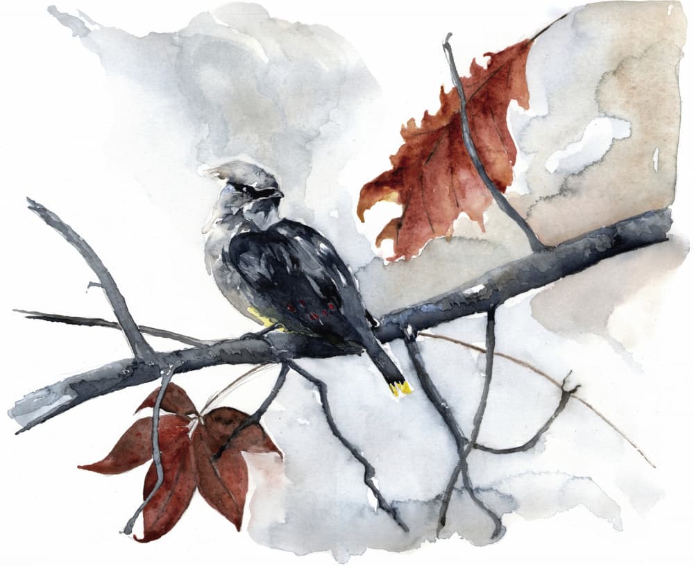 Peaceful Autumn Bird by RodMacIver — canvas wall art
