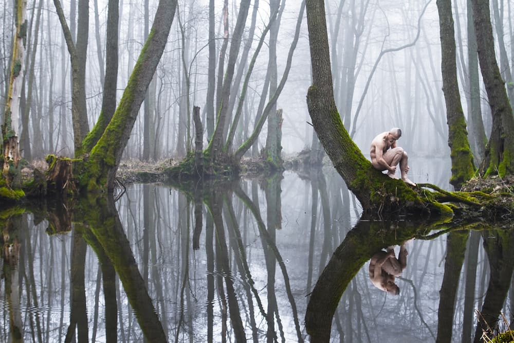Misty Forest Solitude by Leszek Paradowski — canvas wall art