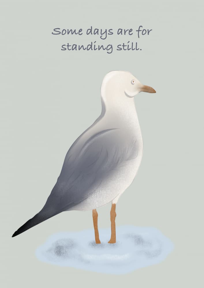 Seagull Standing Still by Lisen Vennesland — canvas wall art
