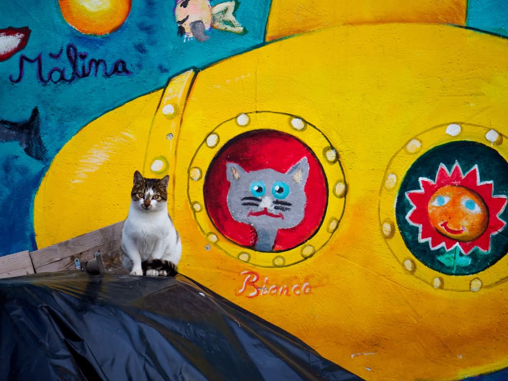 Whimsical Submarine Cat by Marius Surleac — canvas wall art