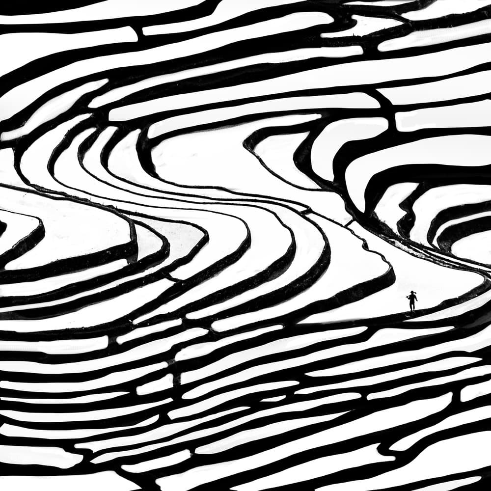 Black White Terraced Fields by Piet Flour — canvas wall art