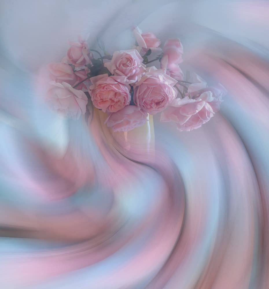 Swirling Pastel Roses by Judy Tseng — canvas wall art