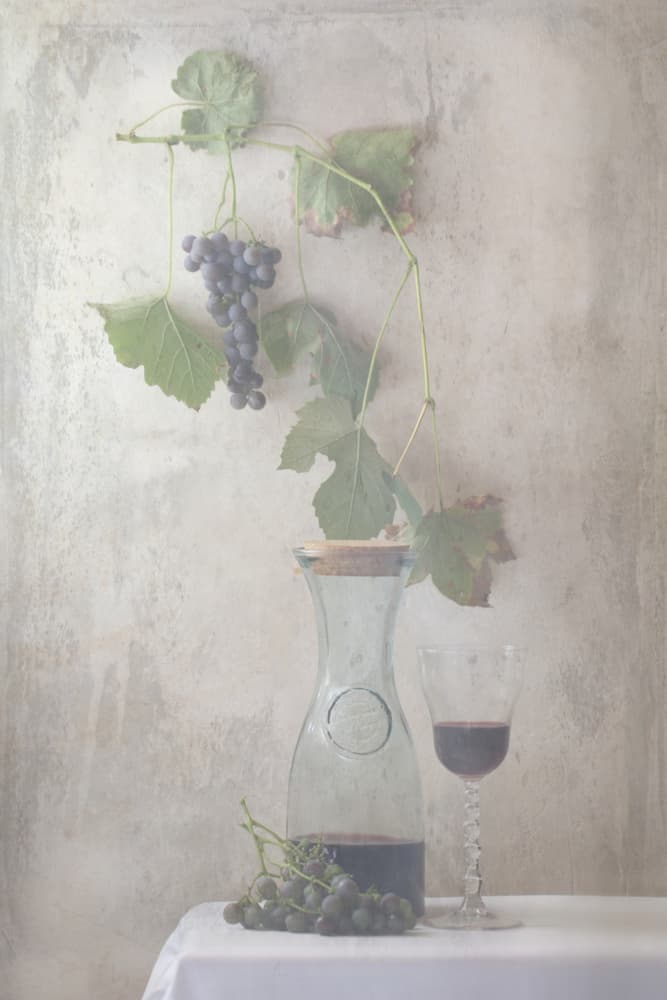 Vintage Grapes Wine Still Life by Delphine Devos — canvas wall art