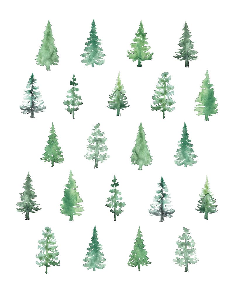Watercolor Forest Pines by Rosana Laiz Blursbyai — canvas wall art