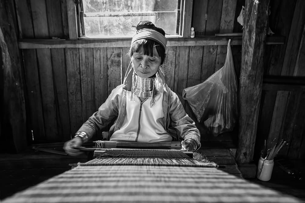 Long-Neck Weaver by Gunarto Song — canvas wall art