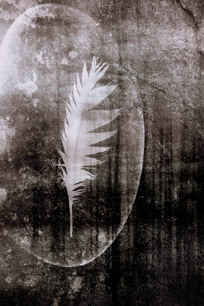 White Feather Moon by Christina Sillen — canvas wall art