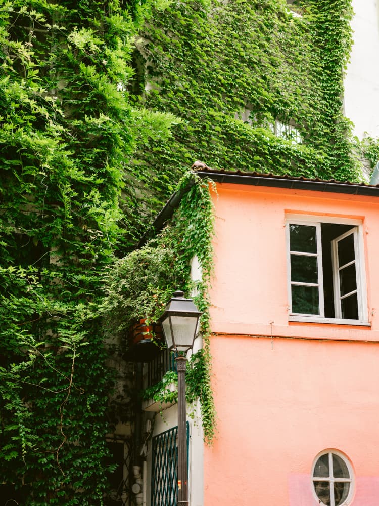 Green and Pink || Montmartre Paris by Raisa Zwart — canvas wall art