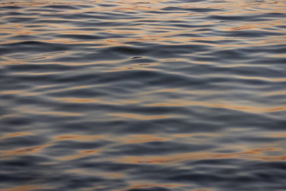 Golden Water by Mareike Böhmer — canvas wall art