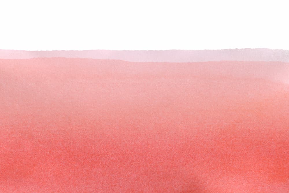 Blush Coral Gradient by amini54 — canvas wall art