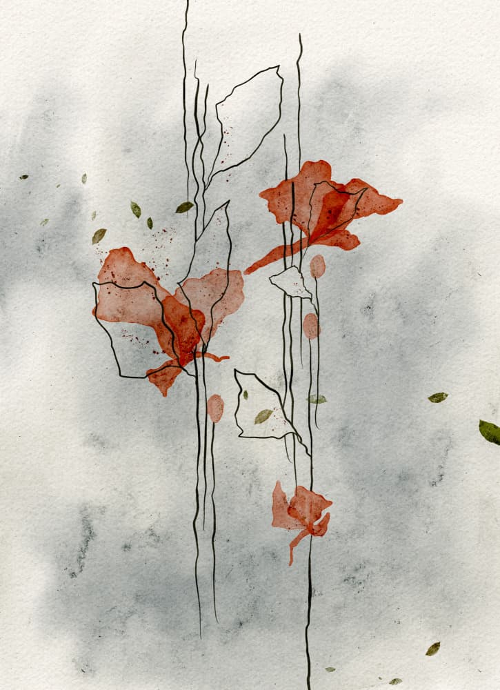 Delicate Poppies Bloom by Ankie Kooi — canvas wall art
