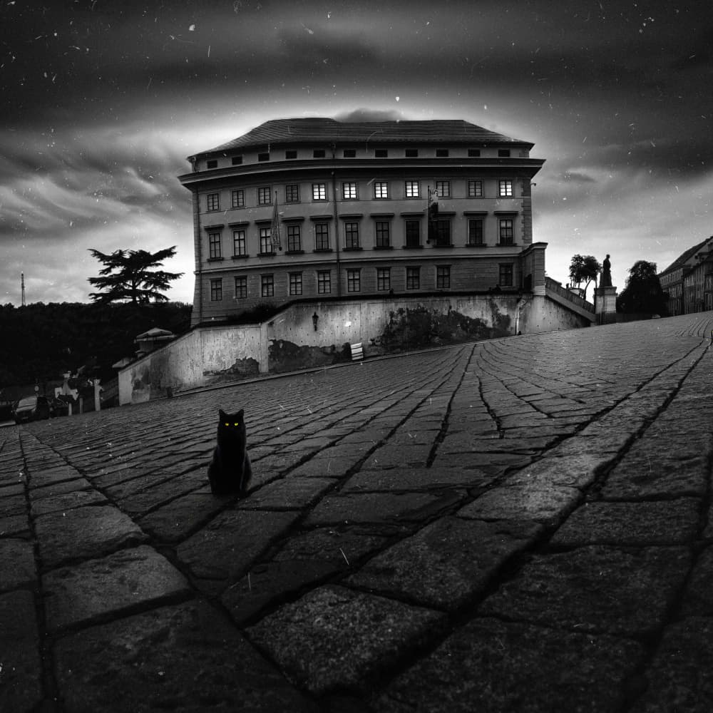 Gothic Night Black Cat by Larry Deng APA — canvas wall art