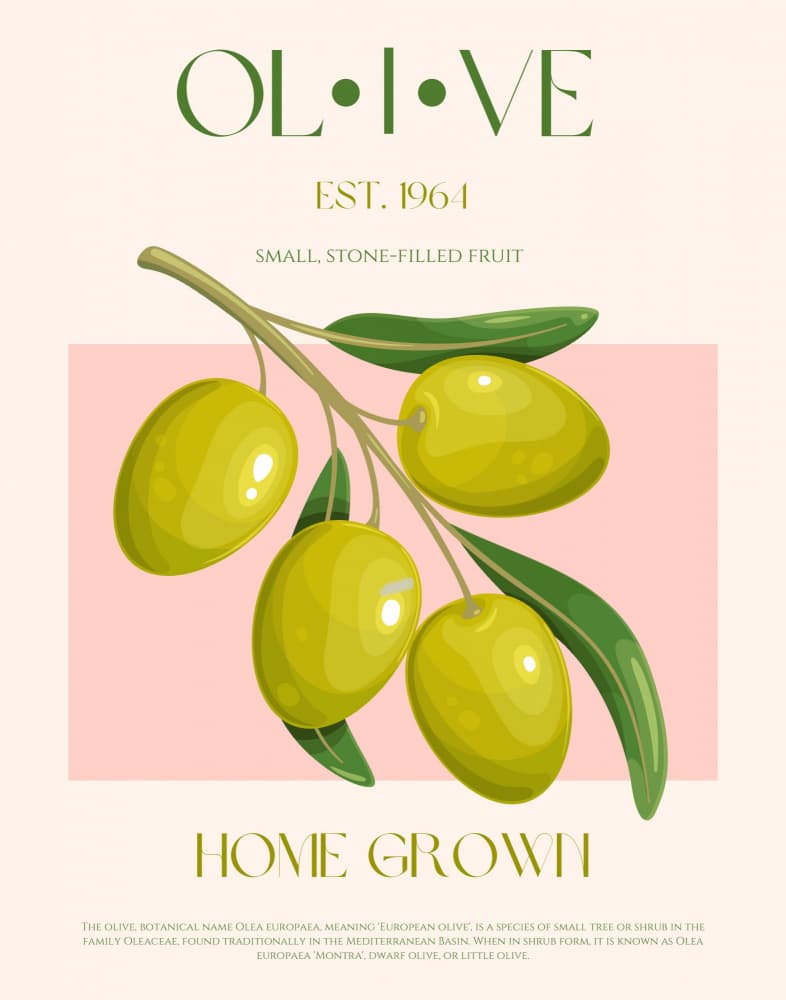 Home Grown Olive Branch by Nazma Khokhar — canvas wall art