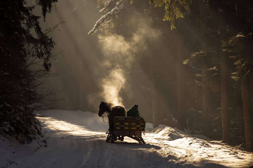 Sunlit Winter Horse Sleigh by Dan Mirica — canvas wall art